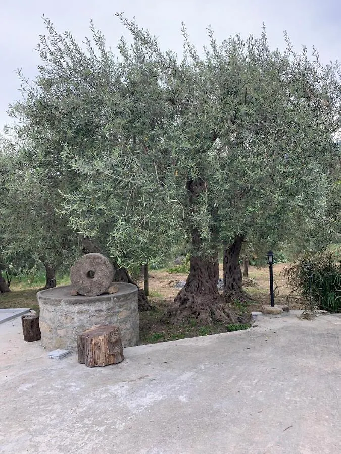 Casa Vacanze Magistro Patti